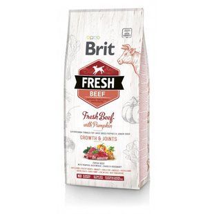 Сухий корм Brit Fresh Beef with Pumpkin Puppy Large для цуценят великих порід, яловичина та гарбуз 12 кг 170991/530755 фото