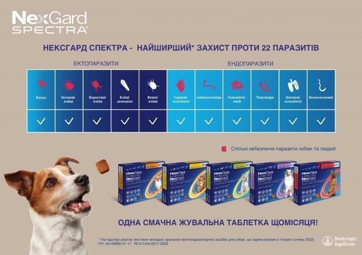 Таблетки Нексгард Спектра (Nexgard Spectra) для собак, от блох, клещей и гельминтов весом 2-3.5 кг, 1 таблетка 159903 фото