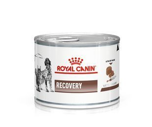 Влажный корм Royal Canin Recovery для собак и котов при восстановлении после болезни или операции 195 г 40550021 фото