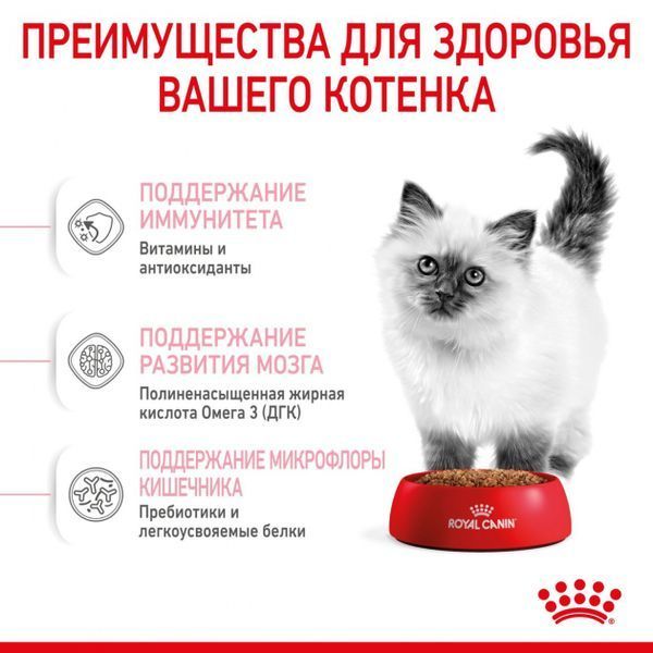 Сухий корм Royal Canin Kitten для кошенят всіх порід від 4 до 12 місяців 4 кг 25220400 фото