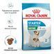 Сухой корм Royal Canin Mini Starter для кормящих собак и щенков, мелких пород до 2 месяцев 1 кг 2990010 фото 2
