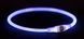Ошейник Trixie Flash Light USB для собак, с подсветкой, размер S-M TX-12664 фото