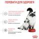 Сухой корм Royal Canin Mother and Babycat для кормящих котов и котят до 4 месяцев 400 г 2544004 фото 4