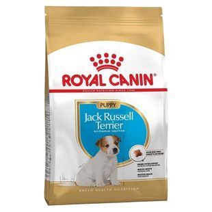 Сухий корм Royal Canin Jack Russell Terrier Puppy для цуценят, породи джек рассел тер'єр до 10 місяців 1.5 кг 21010151 фото