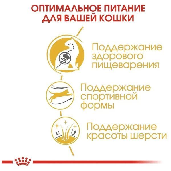 Сухой корм Royal Canin Bengal для взрослых котов, бенгальская порода 2 кг 4370020 фото
