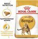 Сухой корм Royal Canin Bengal для взрослых котов, бенгальская порода 2 кг 4370020 фото 3