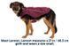Вологий корм Savory Dog Adult для дорослих собак усіх порід, з яловичиною у паштеті 800 г 30440 фото 8