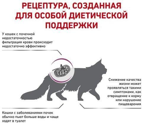 Сухой корм Royal Canin Renal для котов с заболеванием почек 4 кг 39000409 фото
