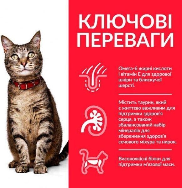 Сухой корм Hill's Science Plan Feline Adult для взрослых котов, с курицей 3 кг 604058 фото