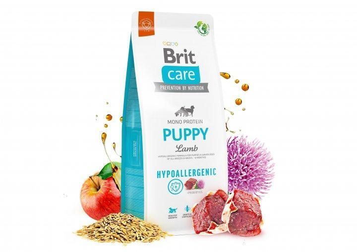 Сухой корм Brit Care Dog Hypoallergenic Puppy для щенков всех пород, с ягненком 3 кг 172212 фото