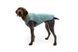 Вологий корм Savory Dog Adult для дорослих собак усіх порід, з качкою у паштеті 800 г 30488 фото 6