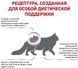 Сухой корм Royal Canin Renal для котов с заболеванием почек 4 кг 39000409 фото 3