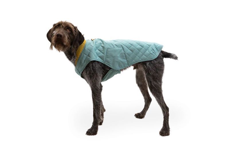 Вологий корм Savory Dog Adult для дорослих собак усіх порід, з качкою у паштеті 800 г 30488 фото