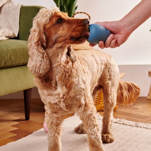 Функціональні ласощі Savory Dog Snack Mobility для дорослих собак для здоров&rsquo;я суглобів, з кроликом і чорноплідною горобиною 200 г 31362 фото