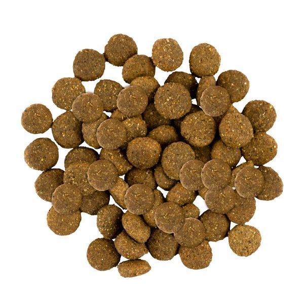Сухой корм Savory Dog Junior Large Breeds для молодых собак больших пород от 25 кг, со свежей индейкой и курицей 12 кг 30211 фото