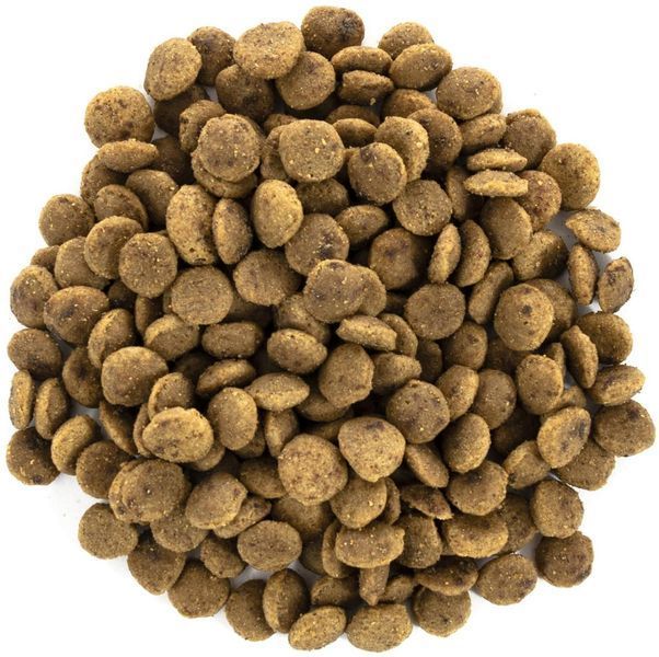 Сухой корм Brit Care Cat GF Large cats Power & Vitality для взрослых котов крупных пород, с уткой и курицей 2 кг 171310/0914 фото