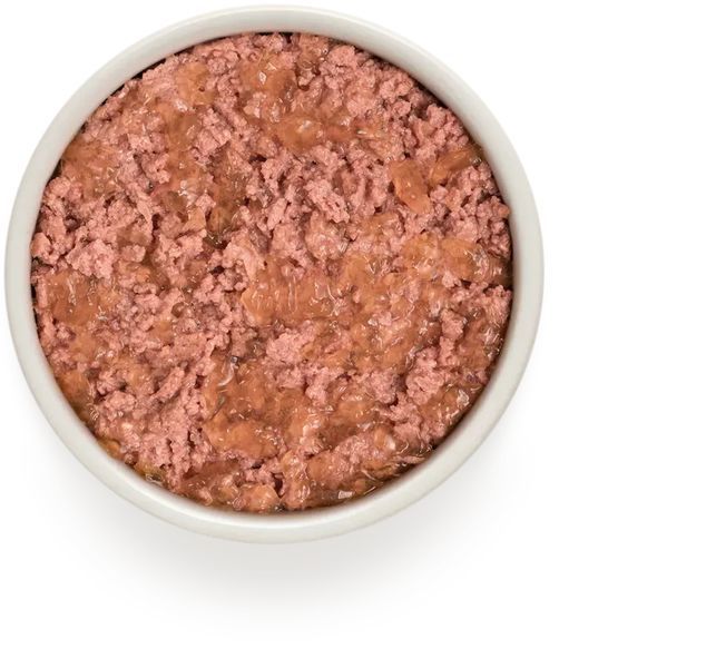 Вологий корм Grandorf Dog Adult для дорослих собак, з м'ясом гусака та індичкою 400 г 12131 фото