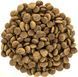 Сухой корм Brit Care Cat GF Large cats Power & Vitality для взрослых котов крупных пород, с уткой и курицей 2 кг 171310/0914 фото 4