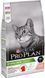 Сухой корм Purina Pro Plan Cat Sterilised для взрослых стерилизованных котов, с лососем 10 кг 3650598/517164 фото 1