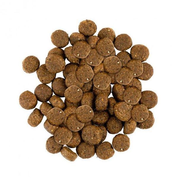 Сухой корм Savory Dog Adult All Breeds для взрослых собак всех пород, со свежим мясом утки и кроликом 12 кг 30181 фото