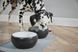 Сухой корм Savory Dog Adult All Breeds для взрослых собак всех пород, со свежим мясом утки и кроликом 12 кг 30181 фото 4