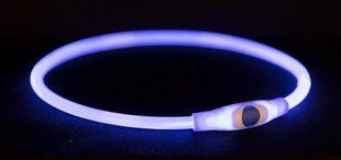 Нашийник Trixie Flash Light USB для собак, з підсвіткою, розмір L-XL TX-12665 фото