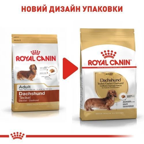 Сухой корм Royal Canin Dachshund Adult для взрослых собак, породы такса 3 кг 3059015 фото