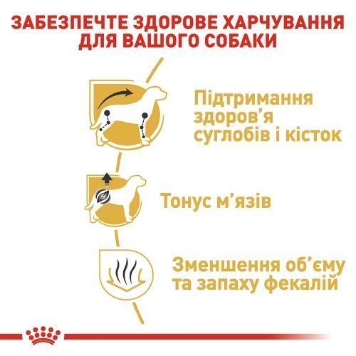 Сухой корм Royal Canin Dachshund Adult для взрослых собак, породы такса 3 кг 3059015 фото