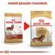 Сухой корм Royal Canin Dachshund Adult для взрослых собак, породы такса 3 кг 3059015 фото 6