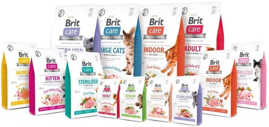 Сухий корм Brit Care Cat GF Haircare Healthy and Shiny Coat для дорослих котів догляд за шкірою і шерстю, з лососем та куркою 2 кг 171307/0891 фото