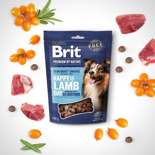 Ласощі Brit Premium Semi-moist Snacks для дорослих собак, ягня та обліпиха 180 г 112282 фото