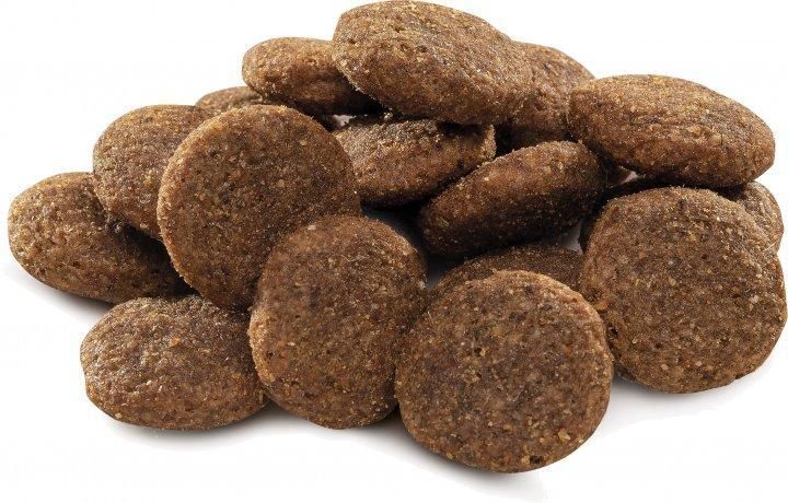Сухой корм Brit Premium Dog Adult L для взрослых собак больших пород, с курицей 3 кг 170825/6444 фото