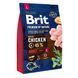 Сухой корм Brit Premium Dog Adult L для взрослых собак больших пород, с курицей 3 кг 170825/6444 фото 3