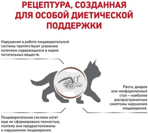 Сухий корм Royal Canin Gastro Intestinal Kitten для кошенят з порушеним травленням 400 г 1228004 фото