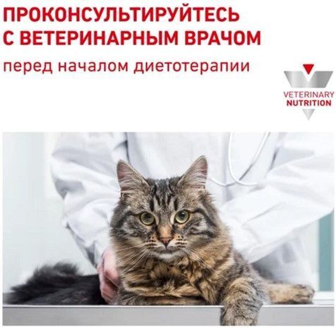 Сухий корм Royal Canin Gastro Intestinal Kitten для кошенят з порушеним травленням 400 г 1228004 фото