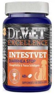 Вітамінно-мінеральна добавка Dr.Vet Inestvet (Інтествет) для собак та котів, підтримка роботи кишково-шлункового тракту 1 таблетка 12375_1 фото