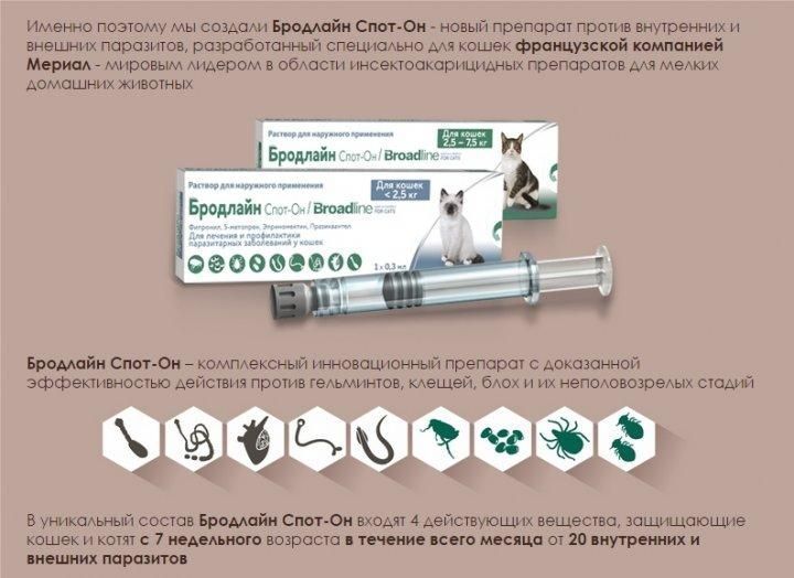 Краплі Бродлайн (Broadline) для котів, від бліх, кліщів та гельмінтів вагою 2.5 - 7.5 кг, 1 піпетка 159884 фото