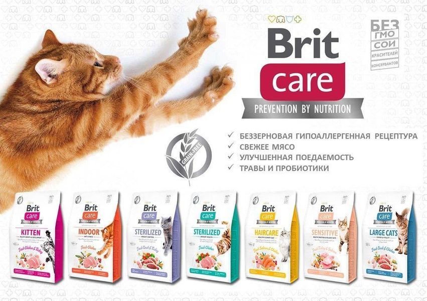 Сухий корм Brit Care Cat GF Sterilized Sensitive для дорослих стерилізованих котів з чутливим травленням, кролик 2 кг 171290/0761 фото
