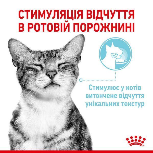 Влажный корм Royal Canin Sensory Feel Gravy для взрослых привередливых котов, кусочки в соусе 85 г 15190010 фото
