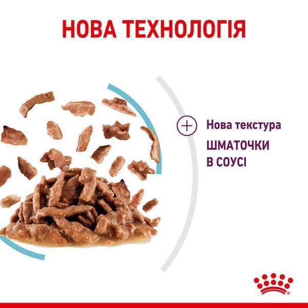 Влажный корм Royal Canin Sensory Feel Gravy для взрослых привередливых котов, кусочки в соусе 85 г 15190010 фото