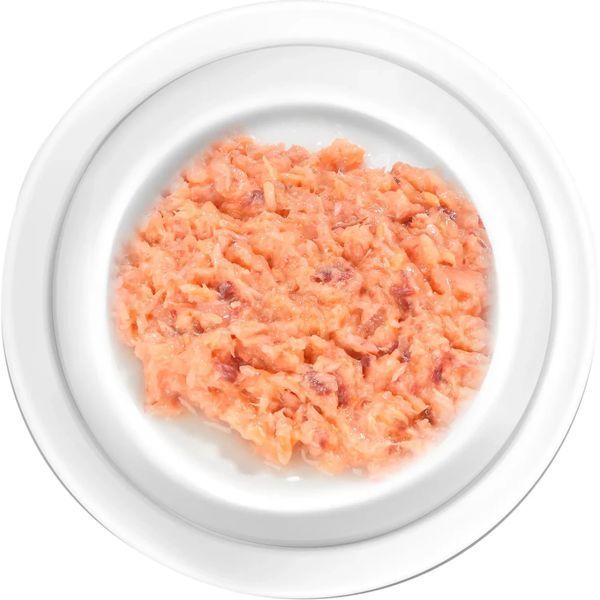 Влажный корм Almo Nature HFC Cat Jelly для взрослых котов, кусочки форели и тунца в нежном желе 70 г 5036H фото