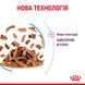 Влажный корм Royal Canin Sensory Feel Gravy для взрослых привередливых котов, кусочки в соусе 85 г 15190010 фото 3