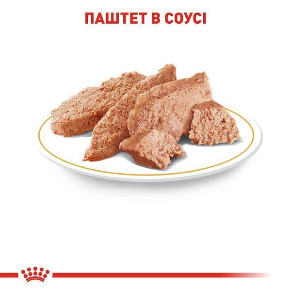 Вологий корм Royal Canin Chihuahua для дорослих собак 85 г 20410010 фото