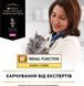 Сухий корм Purina Pro Plan Veterinary Diets NF Renal Early Care для котів, при патології нирок на ранніх стадіях 350 г 882219 фото 4
