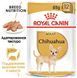 Вологий корм Royal Canin Chihuahua для дорослих собак 85 г 20410010 фото 2
