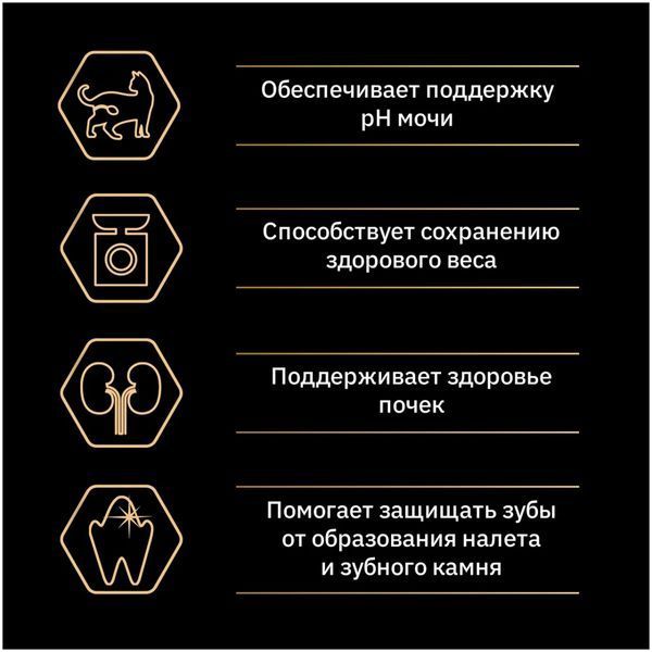 Вологий корм Purina Pro Plan Cat Sterilised для дорослих стерилізованих котів, з яловичиною, соус 85 г 991101 фото