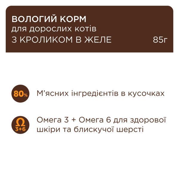 Вологий корм Клуб 4 Лапи Premium для дорослих котів, з індичкою в желе 100 г B5611311 фото