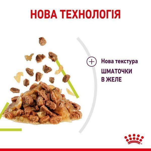 Вологий корм Royal Canin Sensory Smell Jelly для вибагливих до аромату котів, шматочки в желе 85 г 15270010 фото