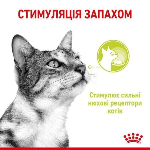 Вологий корм Royal Canin Sensory Smell Jelly для вибагливих до аромату котів, шматочки в желе 85 г 15270010 фото