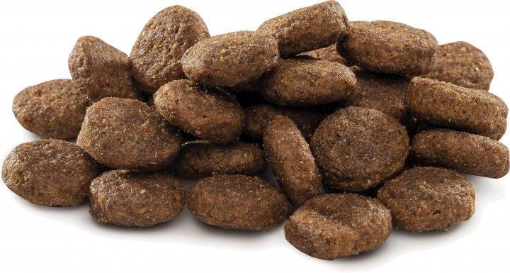 Сухой корм Brit Premium Dog Junior L для щенков и молодых собак больших пород, с курицей 15 кг 170824/6437 фото